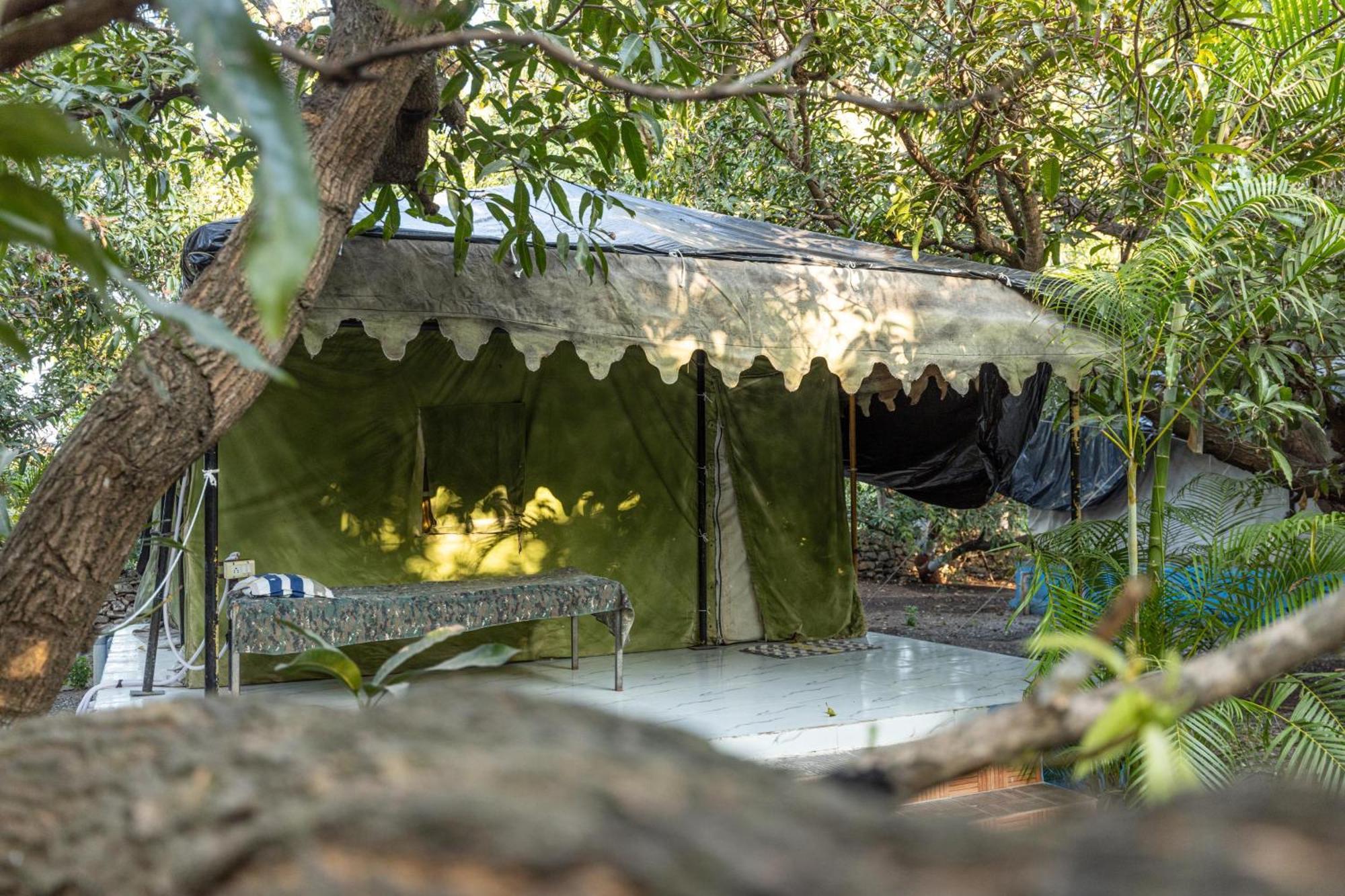 Gir County Resort Sasan Gir Zewnętrze zdjęcie